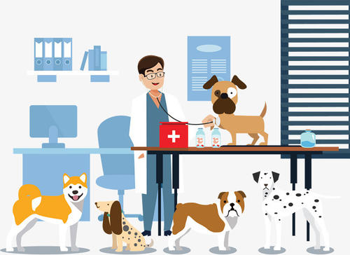 执业兽医报名照片修改,执业兽医资格证报名照片