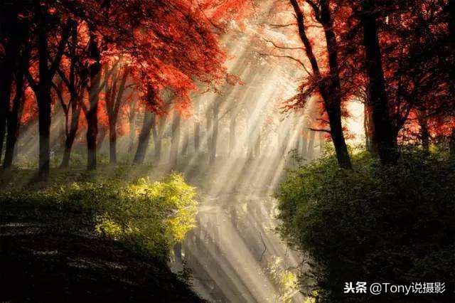 降温了手机摄影,降温了可以拍什么视频