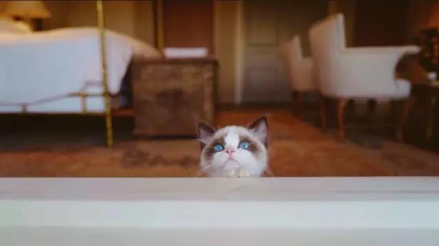 「JALOUSE」有一说一，我确实馋他们的身子