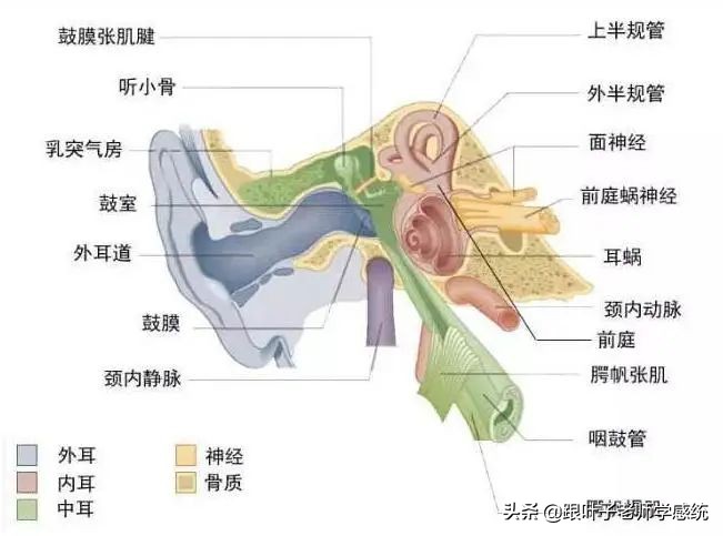 家长必知|孩子平衡能力不好，竟然也会影响学习效率？