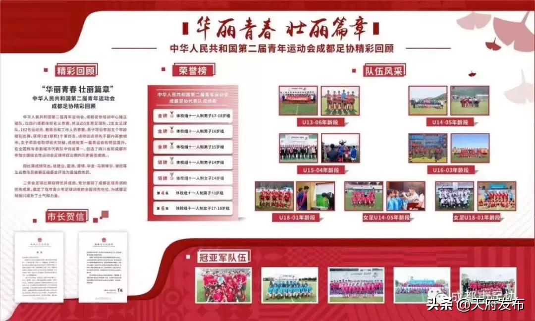 天府新区会有专业足球场吗,天府新区有什么免费的足球场