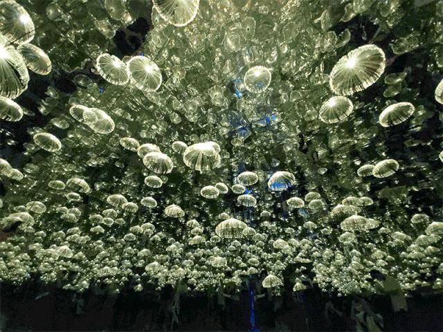 重庆来福士网红打卡观景,来福士重庆网红打卡点晚上好玩