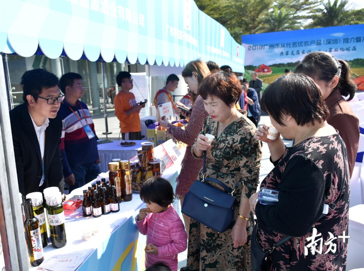 广州从化名优农产品,广州从化好吃的荔枝