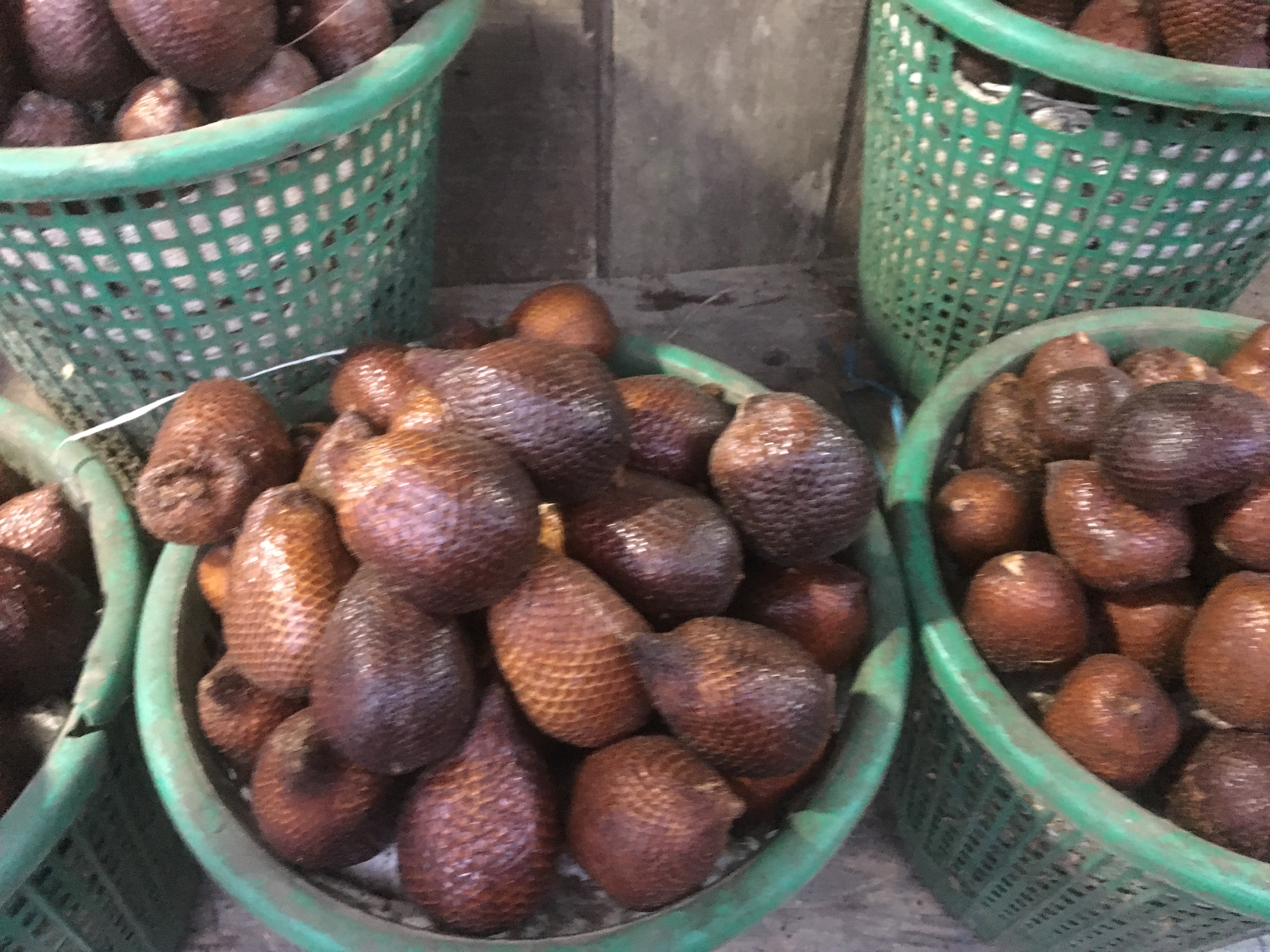 印度尼西亚吃喝玩乐,印度尼西亚旅游吃饭好不好吃