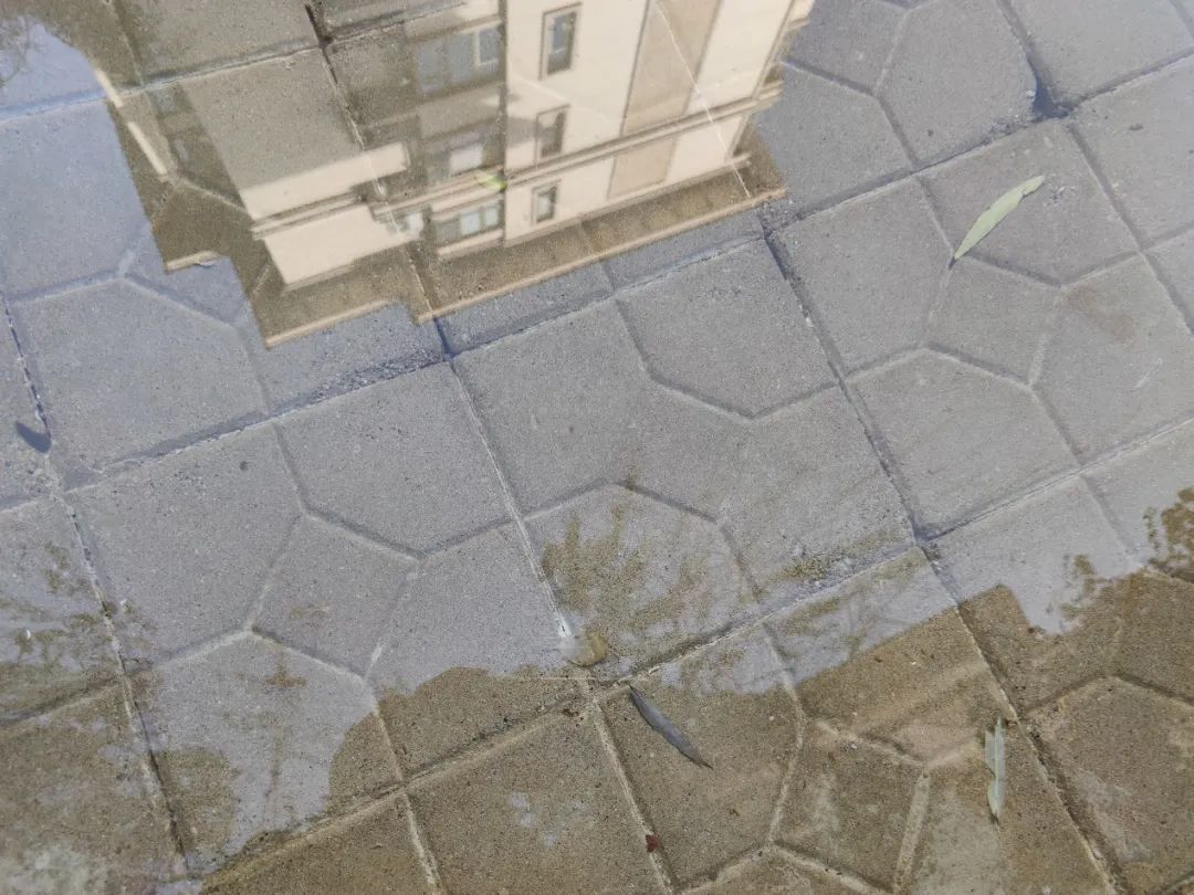 石家庄高新区最值得买的盘,实探一线湖景房