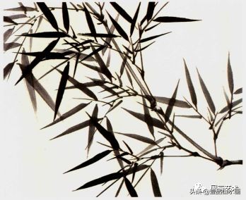 图文教程竹子画法,怎么画竹最简单最好看