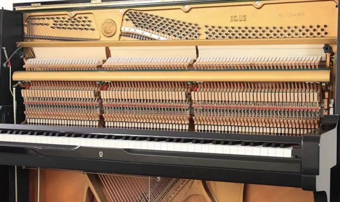 钢琴的乐理知识学多久能全部学完,学钢琴和电钢琴的知识一样吗