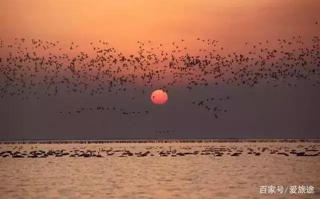 泉州到南昌西站的动车时刻表,泉州南高铁新消息