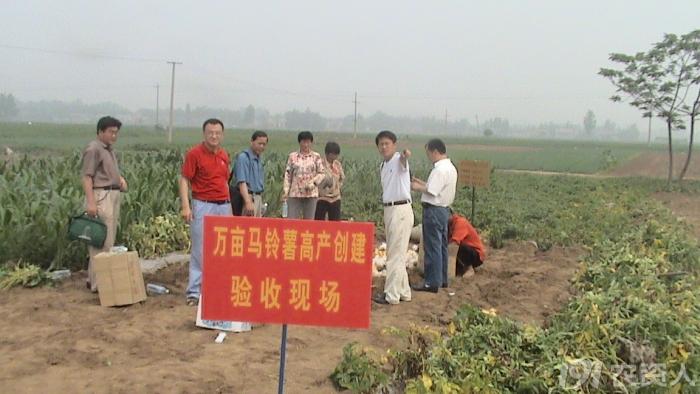 马铃薯免耕栽培技术视频,马铃薯高产栽培技术的参考文献