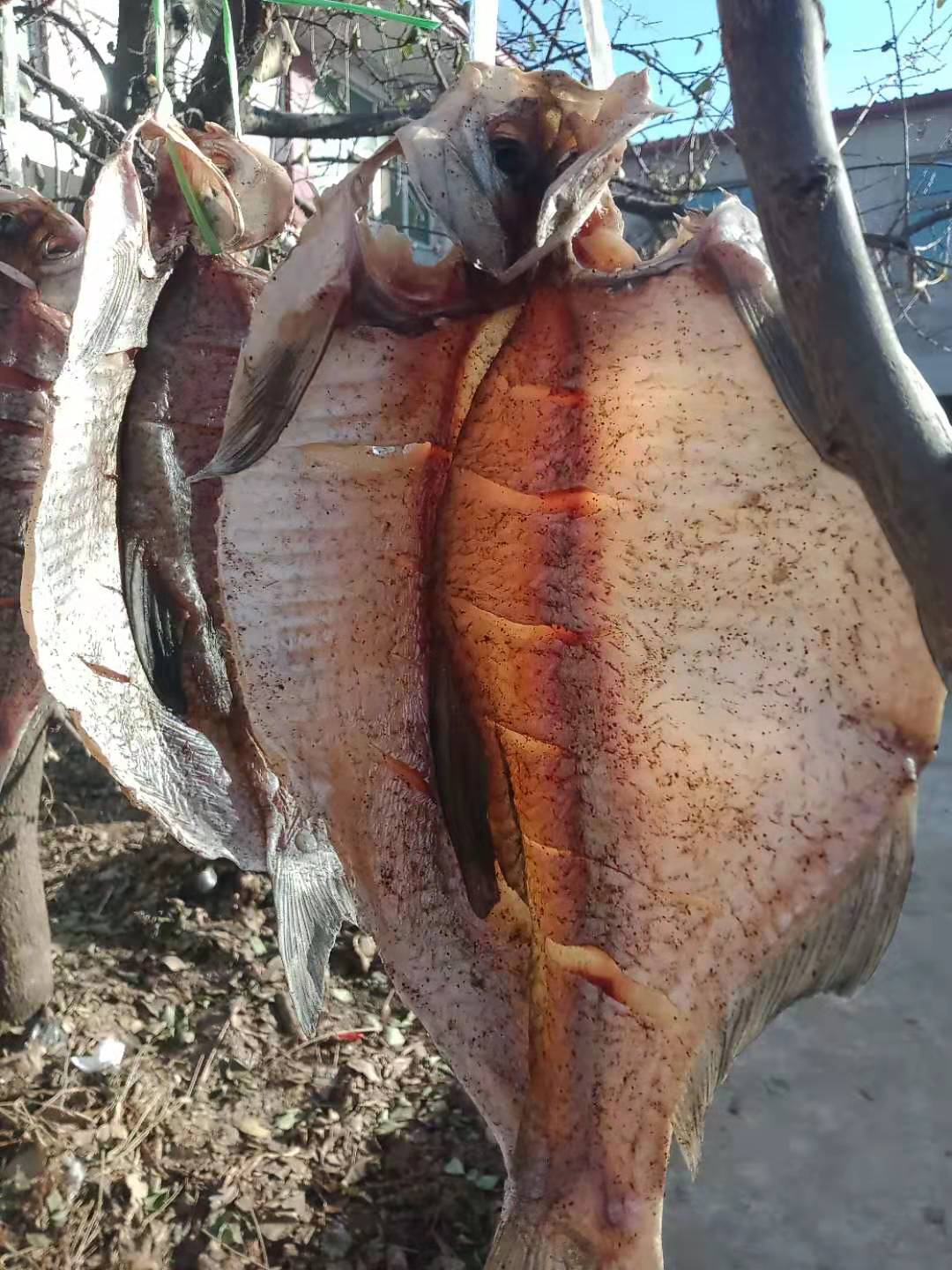 风干好的五香鱼怎么做好吃,风干鱼制作全过程教程