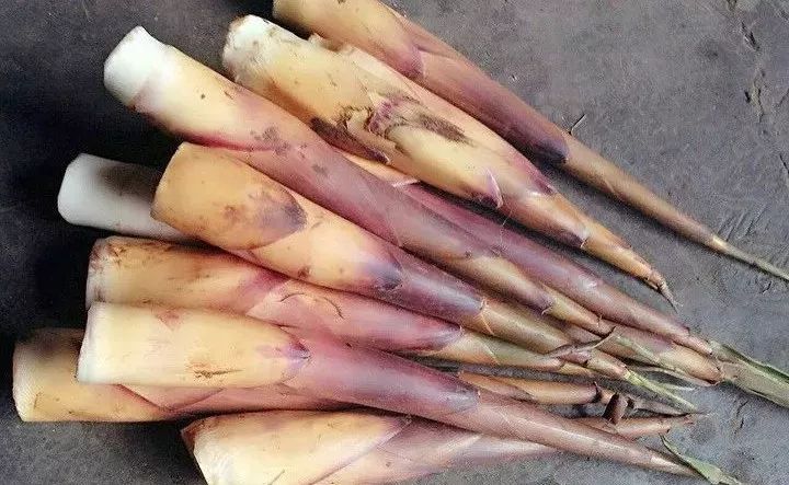 春笋人间四月天,人间四月天吃春笋