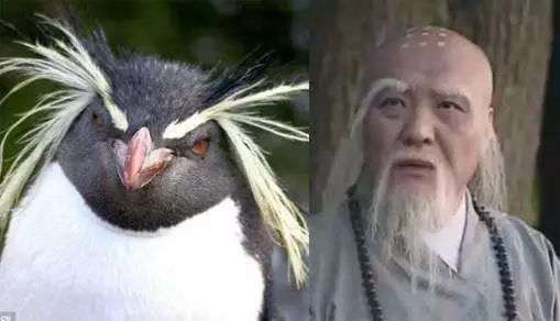 90后没有发际线,90后00后如何不脱发