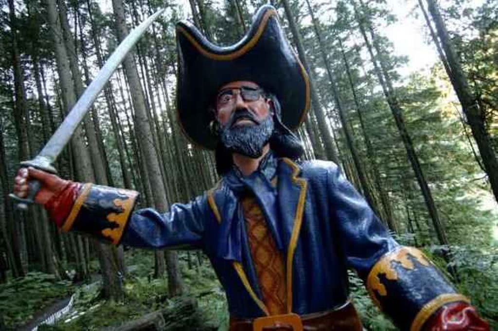 加拿大童话梦想！隐藏八百年前森林中，百万游客，老板：我不玩了