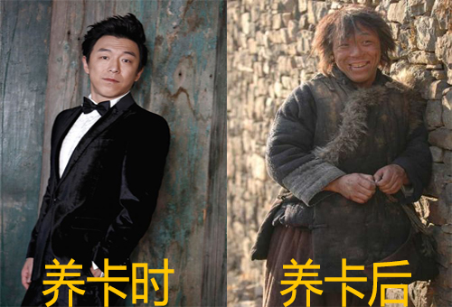 以卡养卡对征信的影响,以卡养卡可以查征信吗