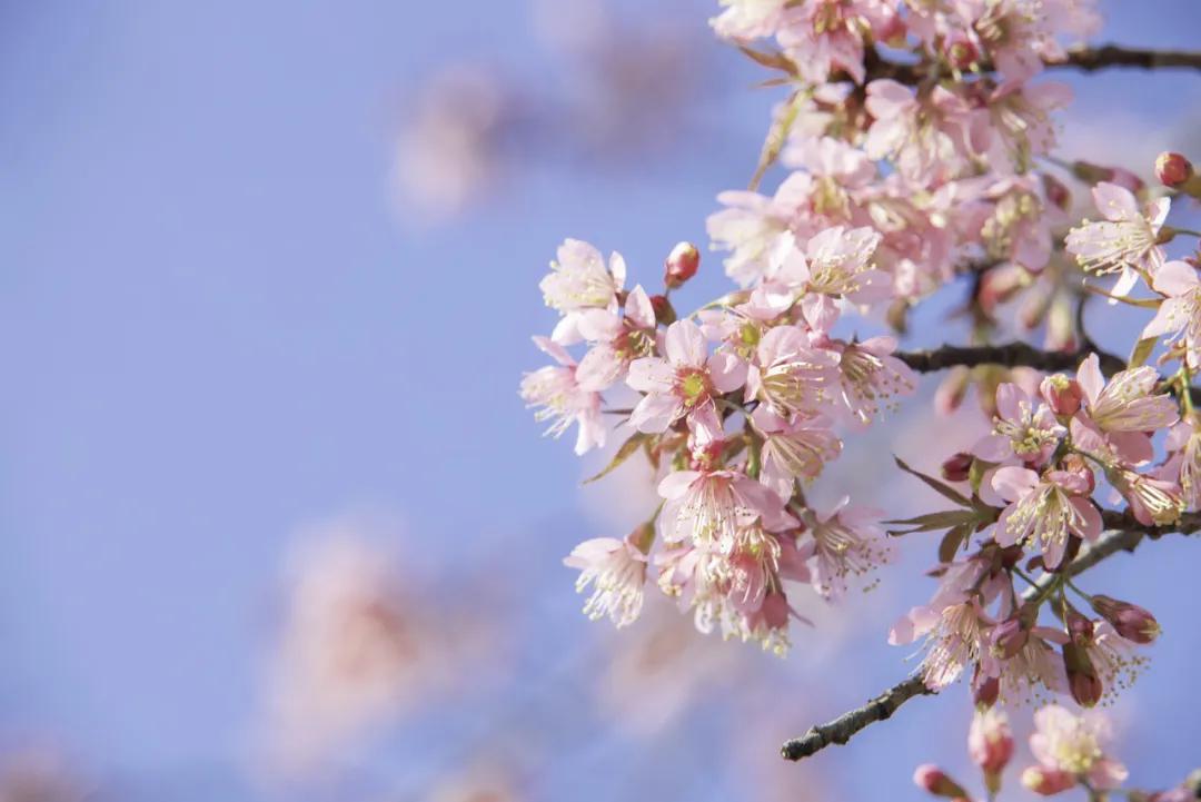 宁波周末走走,宁波旅游必去十大景点推荐自驾游