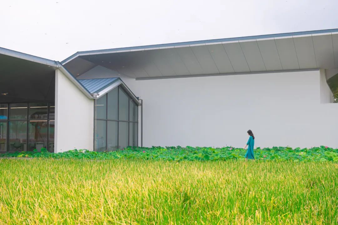 上海蟠龙天地城市展厅,蟠龙天地商业效果图