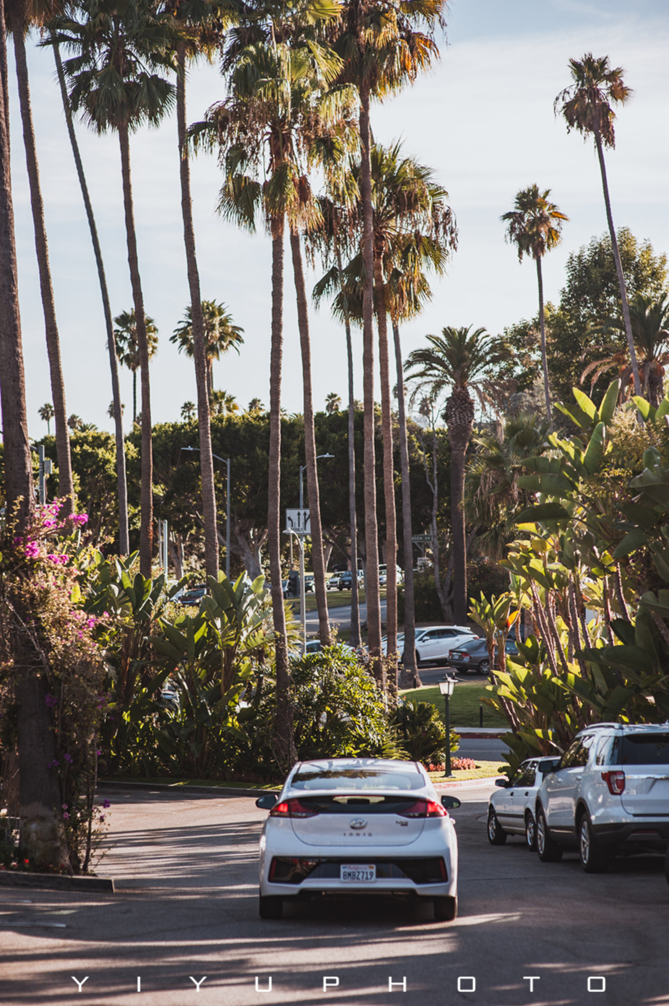 洛杉矶必去的十大景点,洛杉矶必去的十大景点英文版