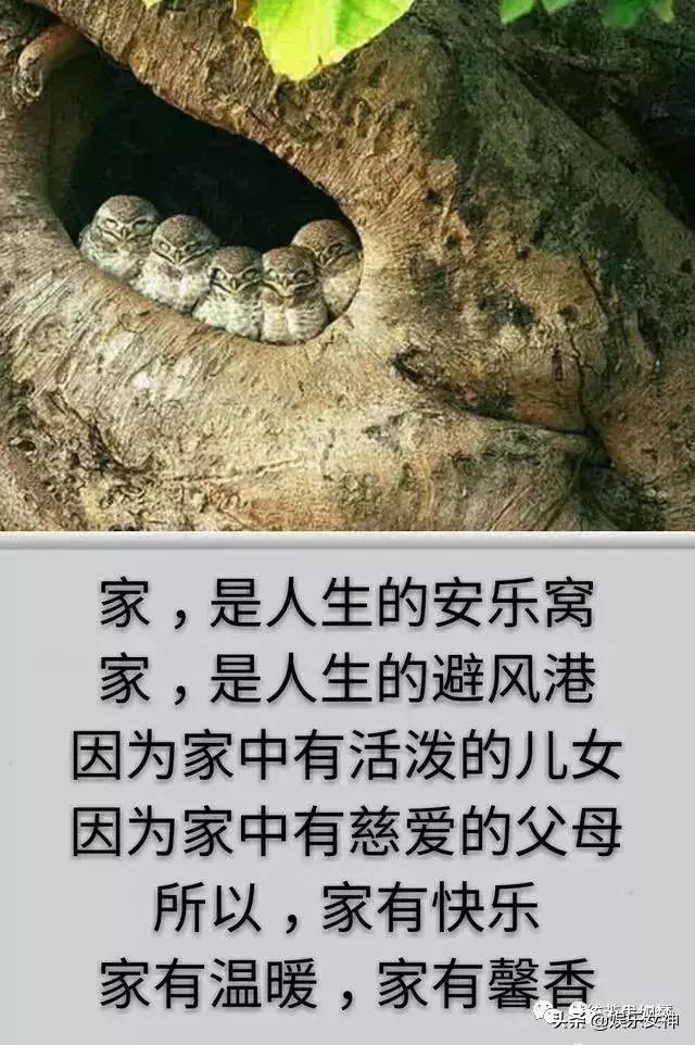 我的家庭相册文章,我的家庭相册细节