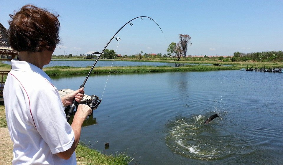狮子鱼为何在美国泛滥成灾,蛇头鱼在中国为什么不泛滥