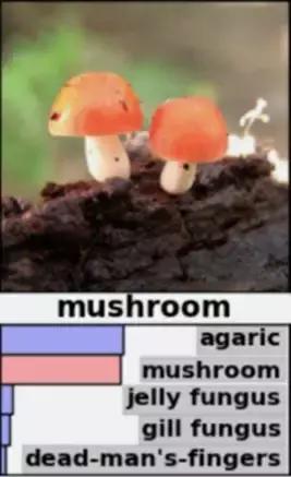 深度学习图灵架构和帕斯卡,图灵奖得主本科