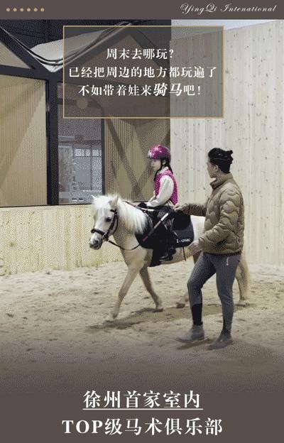 徐州英骐国际马术,徐州英琪国际马术中心