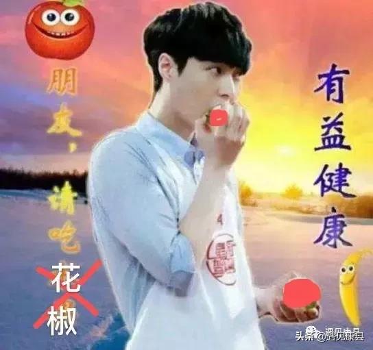 遇见康县丨遇见“万宝山”(一)