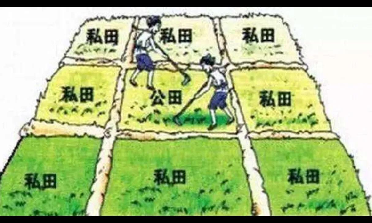 周王朝历史文化,周王朝的历史起源