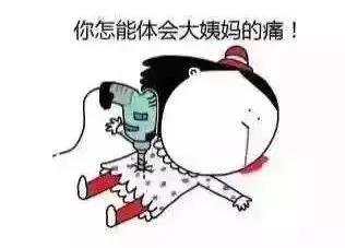 小鸟快验数据真实吗,小鸟快验简介