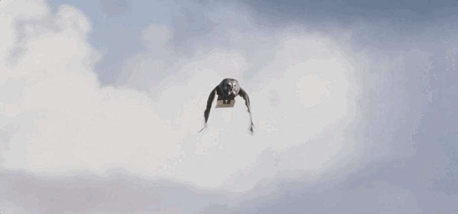 哈利波特的一生,哈利波特人物一生回忆录