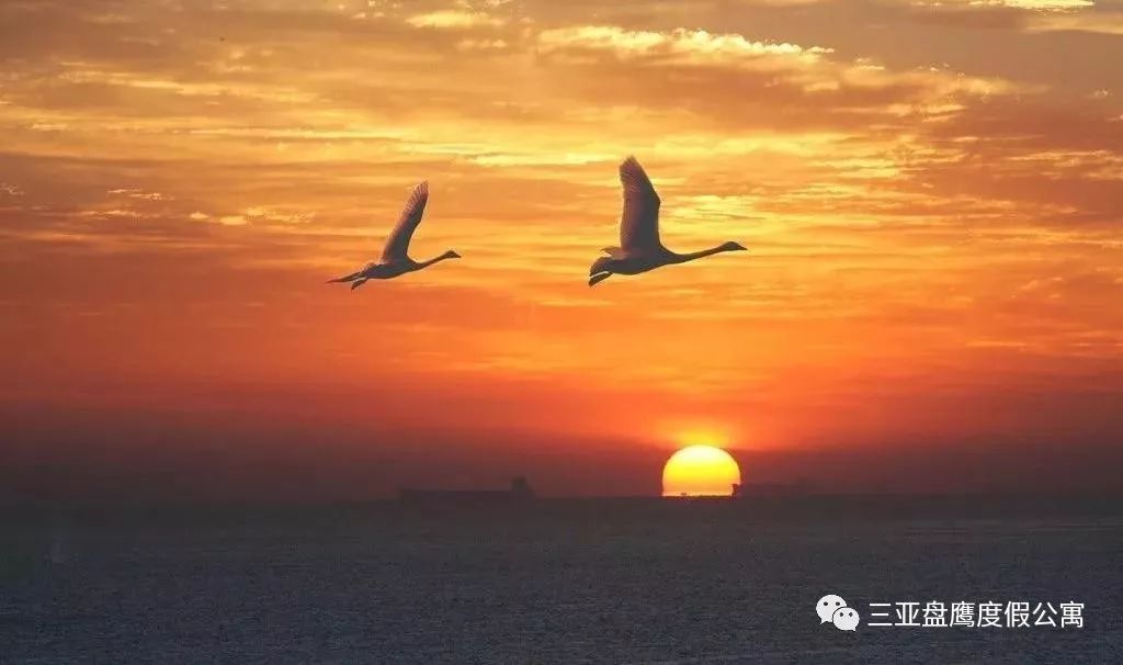 三亚过冬养老公寓哪家最好,海南三亚过冬包吃住的老年公寓