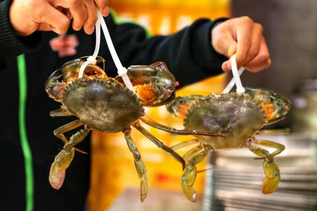 什么是温州游戏,什么是温州