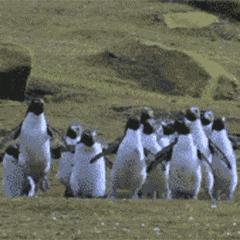 iPhone自带免费视频编辑功能！不用花钱也能将视频处理得很炫酷