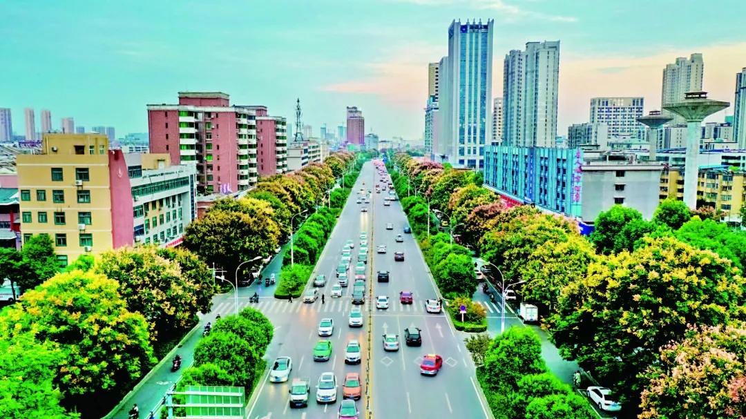 安徽的阜阳是几线城市,2022安徽阜阳城市排名一二三线