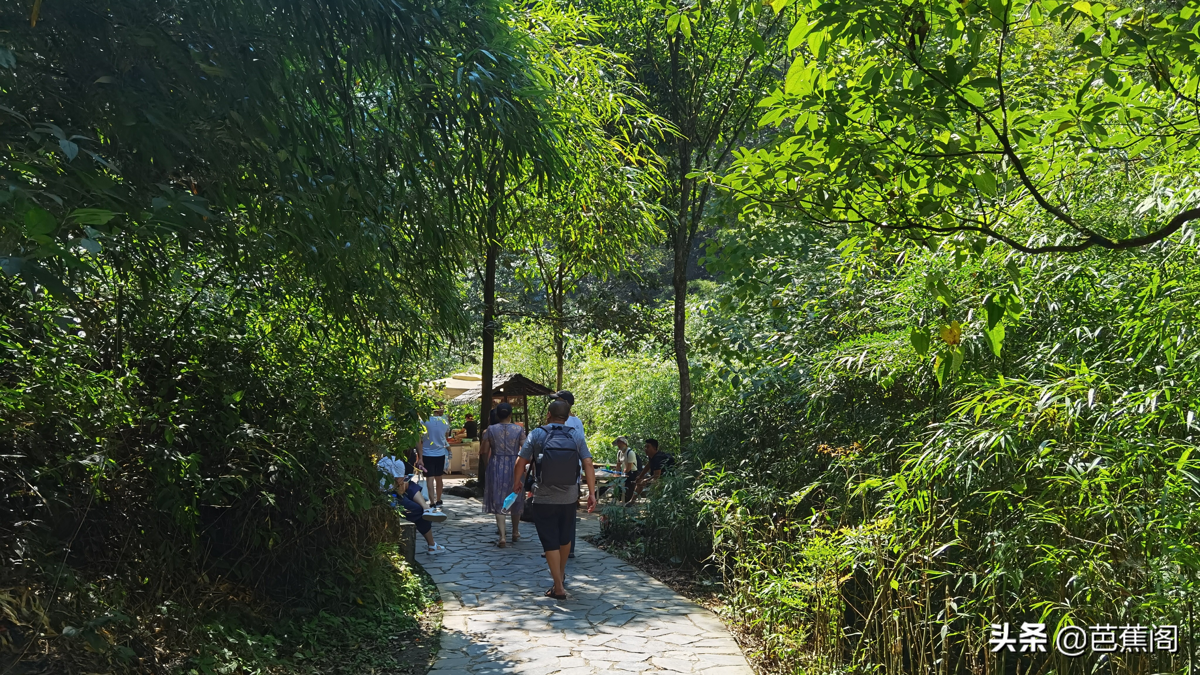 少走弯路攻略,万盛黑山谷旅游攻略