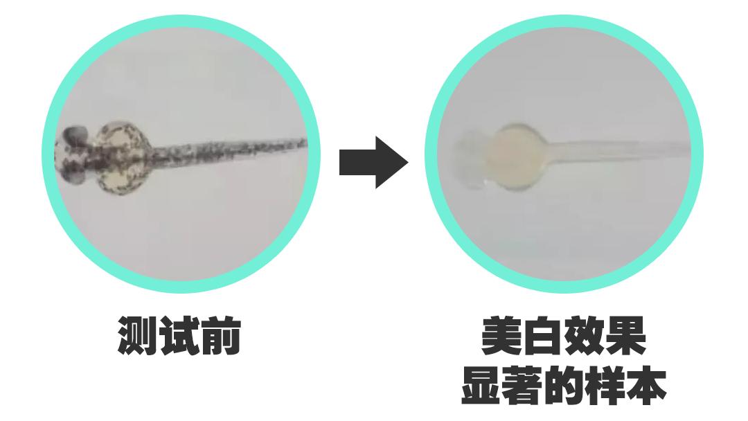 美白精华粉底液,美白养肤粉底液测评