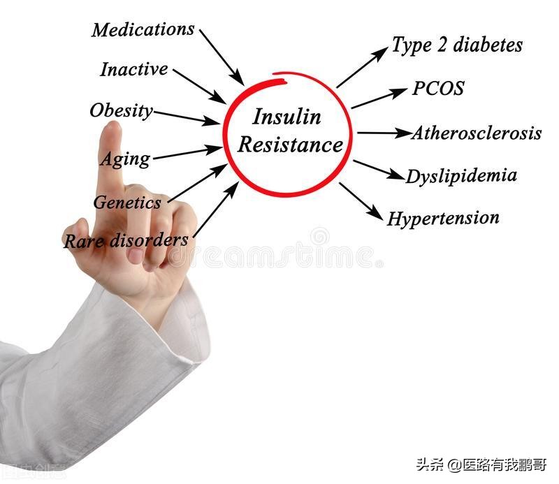 升高胰岛素的食物一览表,胰岛素抵抗28天减肥法