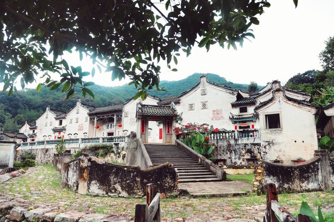 梅州采茶,梅州采茶体验