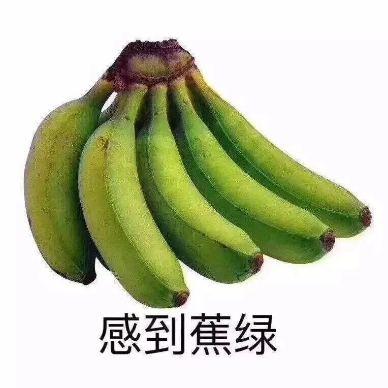 焦虑能去海口旅游吗,觉得焦虑就出来散散心