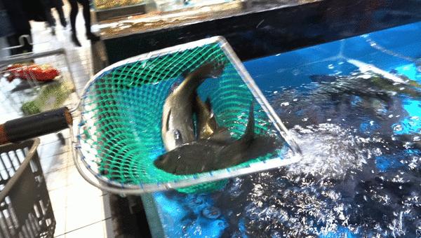 三江购物有希望么,三江购物有新增加门店吗