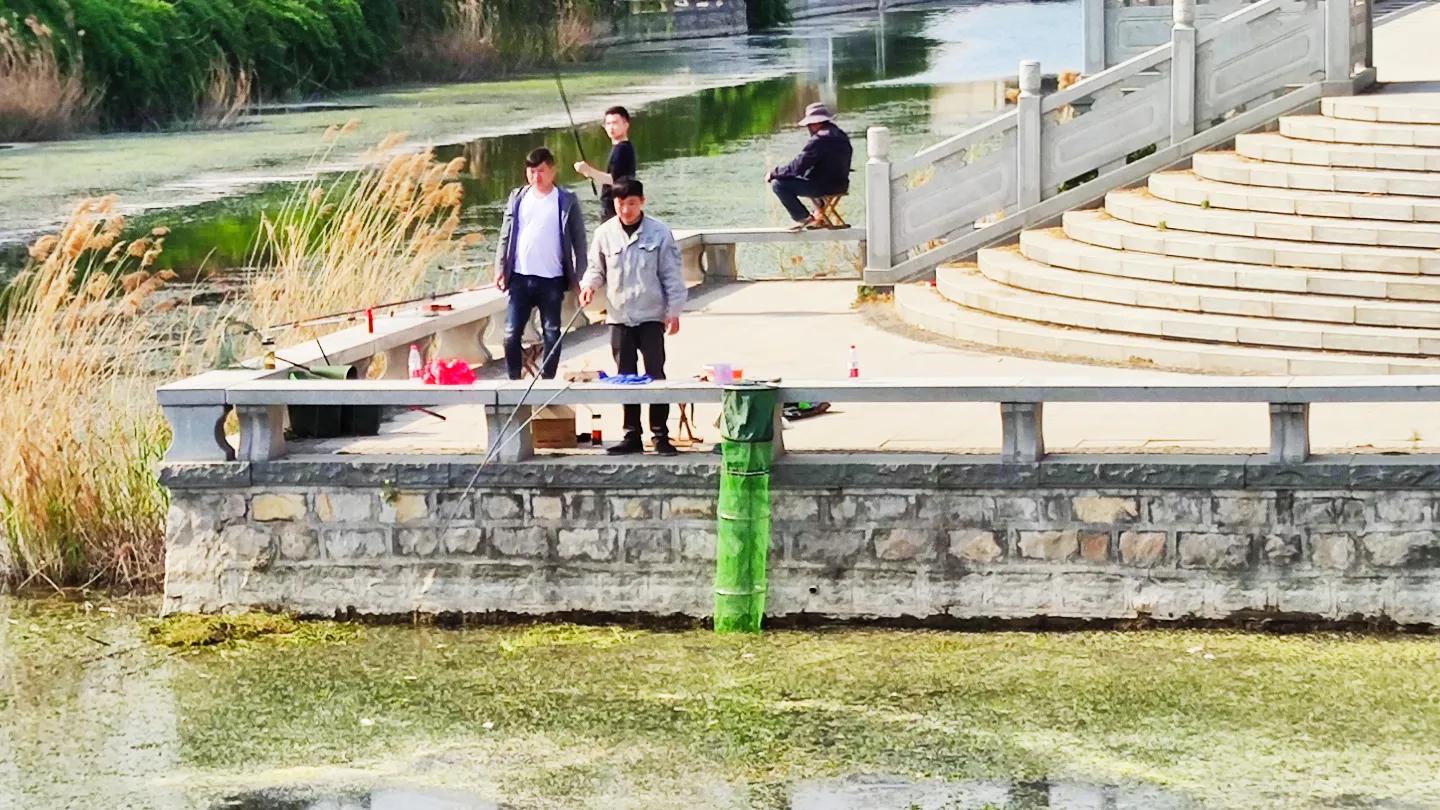 夏天鲫鱼钓着钓着停口怎么回事,黑坑鲫鱼突然停口怎么办