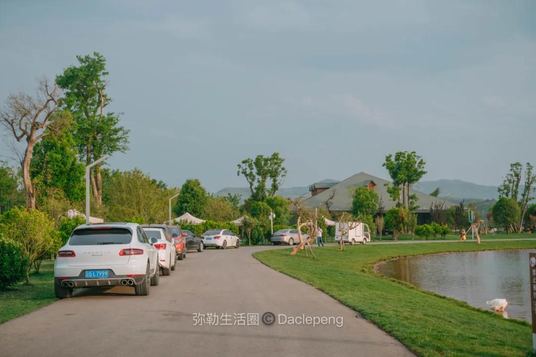 云南最美小镇图片,云南太平湖森林公园花海