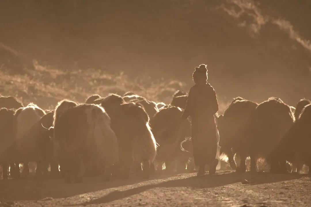 看图写话风景画,看图说话的镜头
