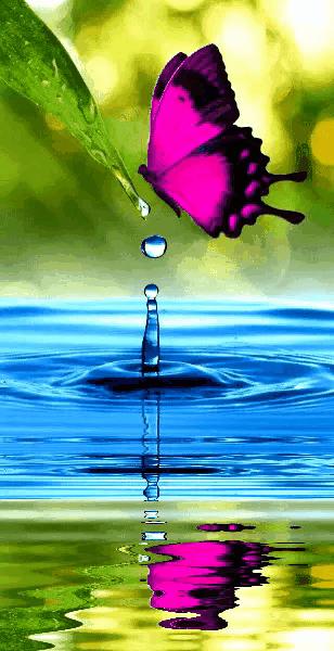 这是我见过最美的风景吗,这是我见过的最美的风景英语