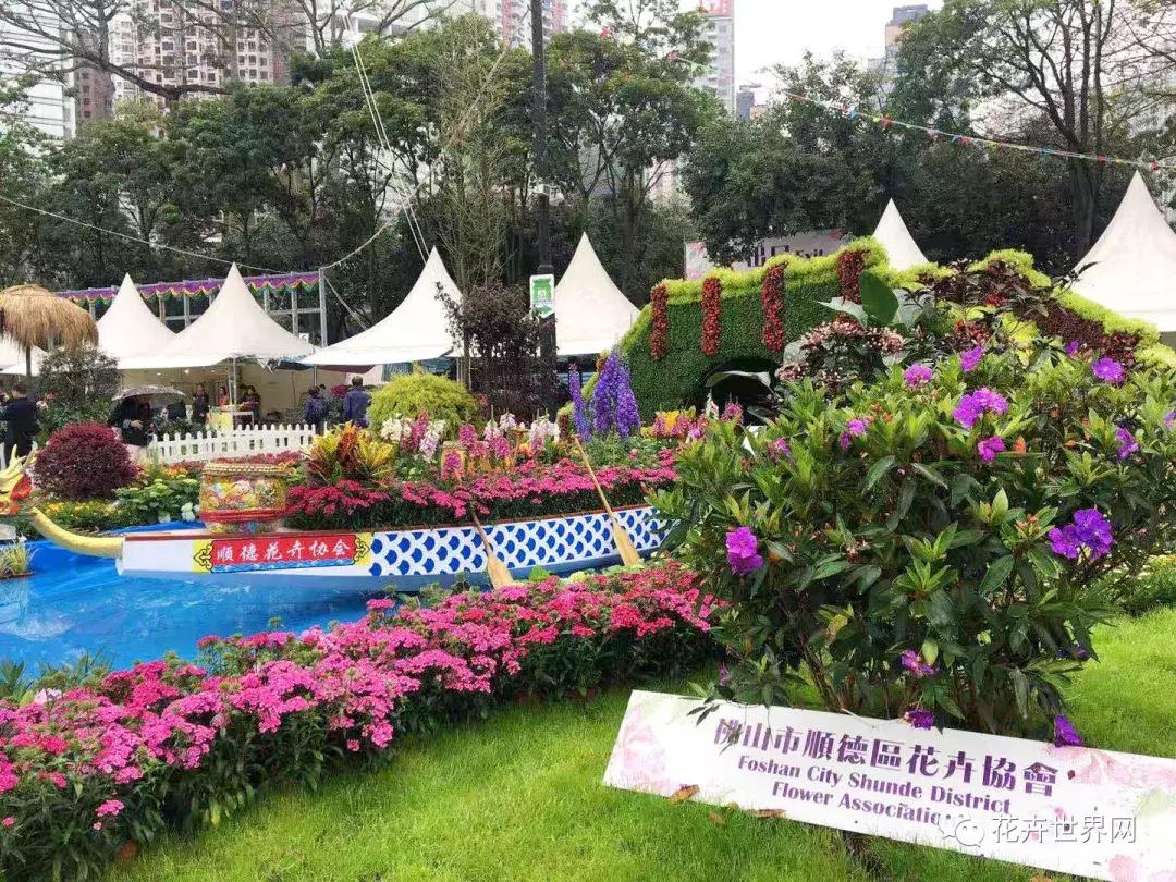 香港花卉艺术展,共赴盛会活动