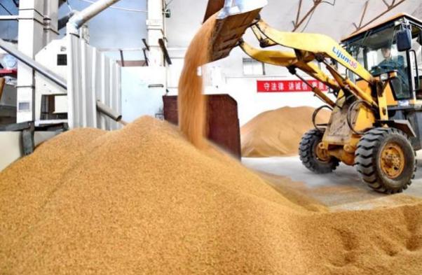 危机来了！澳洲90%大米依赖进口，最大供应商已转向中国