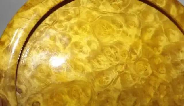 价值几百个亿的金丝楠木,价值8个亿的金丝楠木