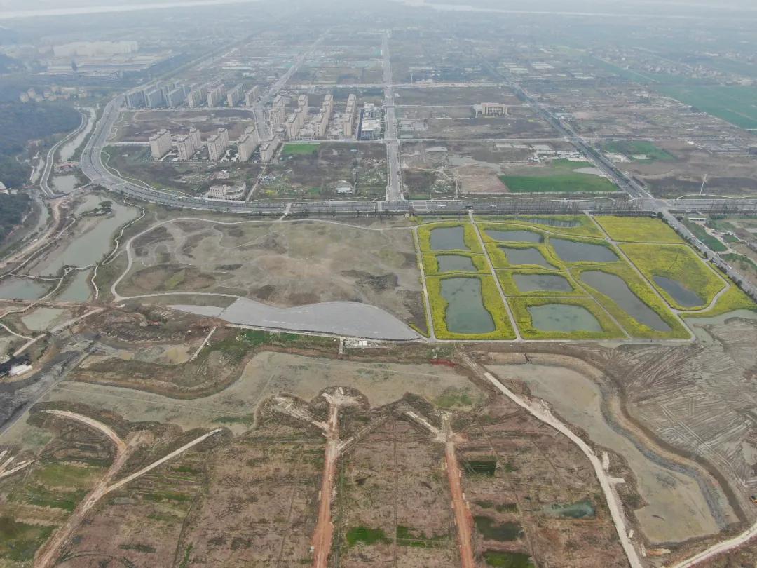 杭州之江高中2020录取分数线,杭州之江中学2020中考情况