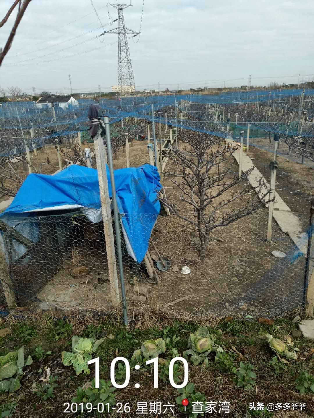 骑行绿道看最美风景,常州舜过山徒步