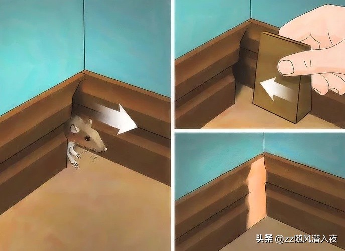 驱逐老鼠最好的办法,怎么样驱逐家里的老鼠