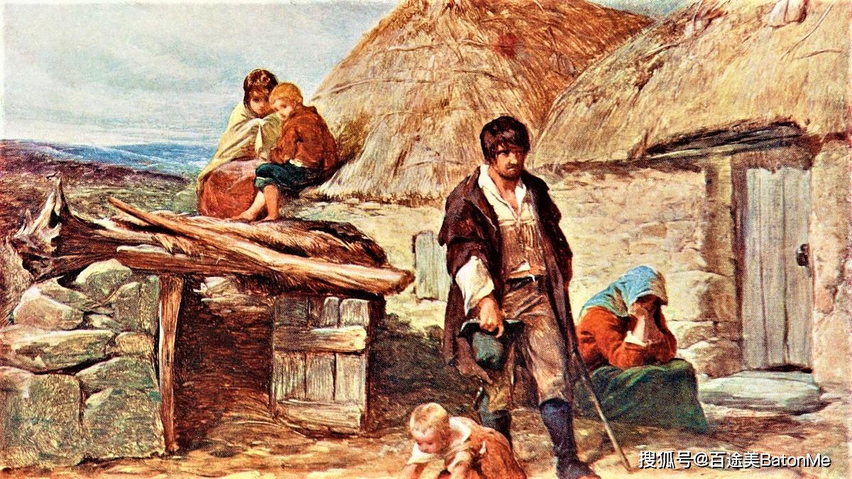 爱尔兰饥荒的深层原因,对爱尔兰饥荒的评价